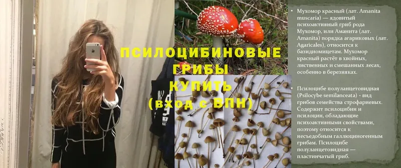 Галлюциногенные грибы Magic Shrooms  Дорогобуж 